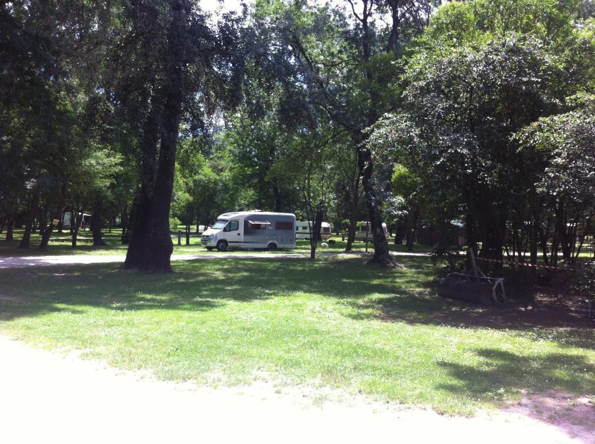 Camping Du Lion Bourg-Saint-Andeol Bagian luar foto