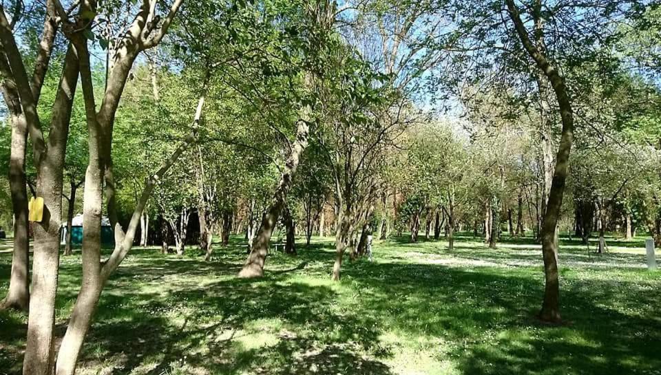 Camping Du Lion Bourg-Saint-Andeol Bagian luar foto