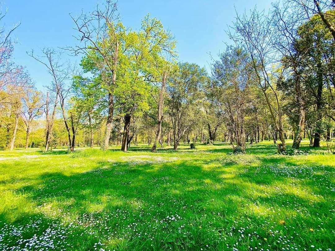 Camping Du Lion Bourg-Saint-Andeol Bagian luar foto