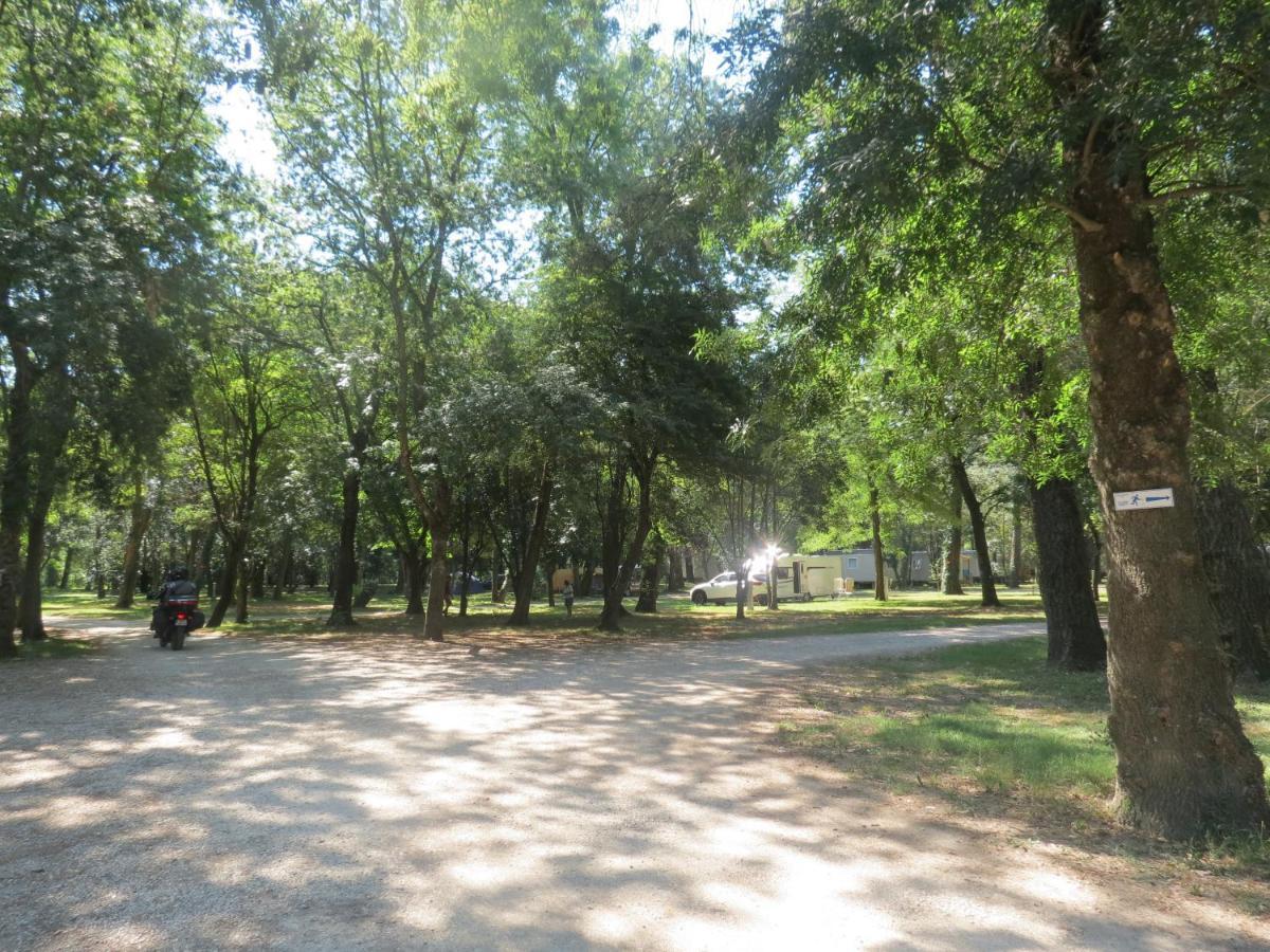 Camping Du Lion Bourg-Saint-Andeol Bagian luar foto